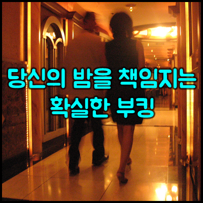 수유샴푸나이트
