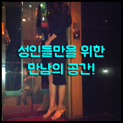 서울나이트