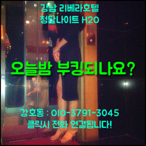 강남나이트3 강호동@