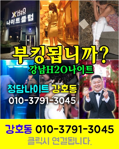 강남보스나이트